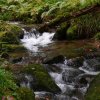 09 b Schluchensteig Etappe 4 - 6